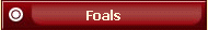 Foals