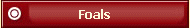Foals