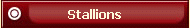 Stallions