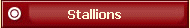 Stallions