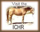 Click to visit the International Champagne Horse Registry
